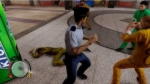 Sleeping Dogs: Definitive Edition (2014) PC [R.G. Catalyst]