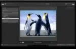 Adobe Photoshop Lightroom 6.0.1 Final [x64] РС [D!akov]