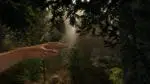 The Forest [0.19C] (2015) PC [by xGhost]