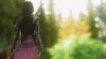 The Elder Scrolls V: Skyrim - Extended Edition  (2011) PC