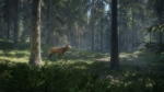 TheHunter: Call of the Wild (2017) PC [by xatab]