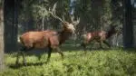 TheHunter: Call of the Wild (2017) PC [by xatab]