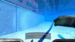 Narcosis [Update 1] (2017) PC [by SpaceX]