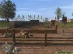 Call of Duty - Золотое издание (2003) PC [by Canek77]