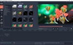 Movavi Video Editor v12.1.0 (2016) [by KpoJIuK]