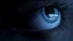 ECHO (2017) PC [R.G. Freedom]