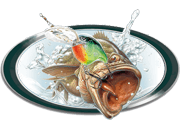 скачать рыбалку на компьютер