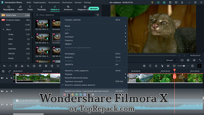 Wondershare Filmora X скачать крякнутый