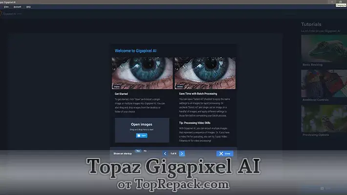 topaz ai gigapixel скачать