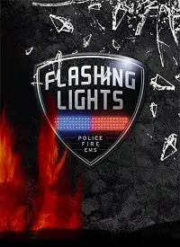 Flashing Lights (2023) PC | RePack от FitGirl