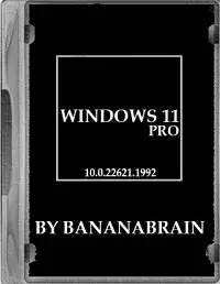 Windows 11 Pro 22H2 10.0.22621.1992 x64 by BananaBrain [Ru/En]